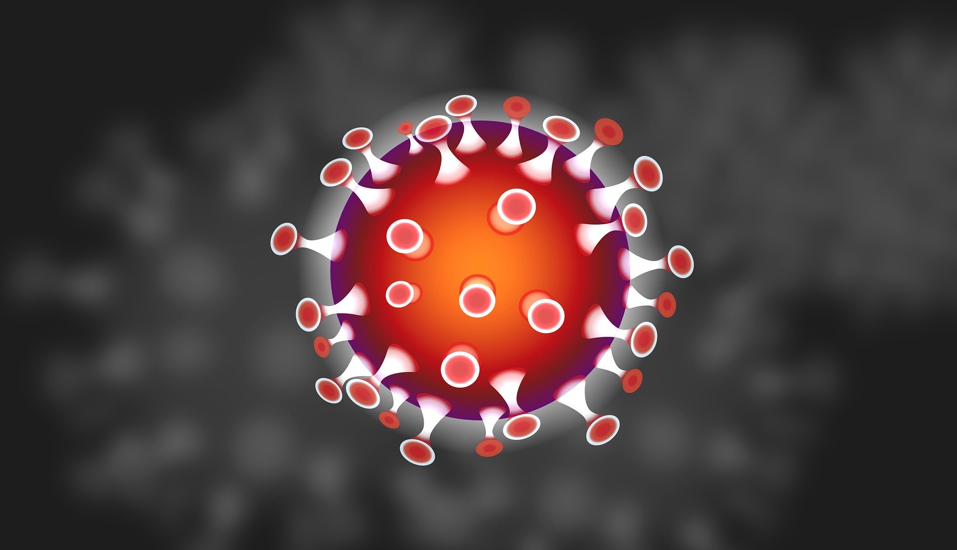 Ausflug 2020 wegen Coronavirus verschoben