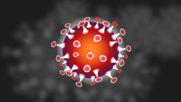 Ausflug 2020 wegen Coronavirus verschoben